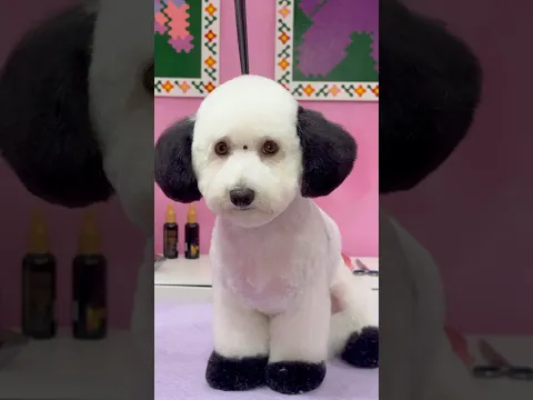 Snoopy?!