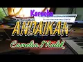 Download Lagu ANDAIKAN CAMELIA MALIK KARAOKE