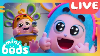 Minibods 24/7 LIVE 🌈 Cute & Calm Preschool Cartoons 📺