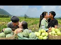 Warm Winter Together Harvesting Fruits, Agricultural Products for Sale - Linh's Life