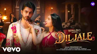 Shahzad Ali, Sanjeev Chaturvedi - Diljale (Official Music Video)