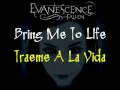 Download Lagu Evanescence - Bring Me To Life [Español - Ingles]