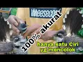 Download Lagu Cara Membedakan Burung kipasan antara jantan dan betina di jamin akurat