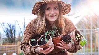 🍅 Plant these Veggies in April