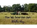 How We Grow Our Own Alfalfa Hay