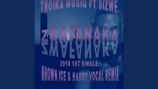 zwafanaka feat sizwe 