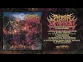Download Lagu SEDERAI MUTILATION | Suffering Extends | Full Stream | BRUTAL MIND MP3
