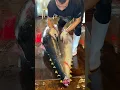 Lagu The Art of Cutting $5000 Otoro from Bluefin Tuna! 😍🐟 #bluefin #tuna #otoro #akami #cutting