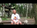 Download Lagu Lagu sedih anak jalanan terbaru 2019