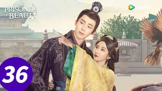 المسلسل الصيني سجين الجمال الحلقة 36 The Prisoner Of Beauty WeTV 