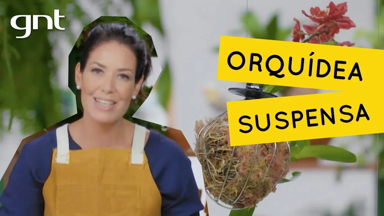 COMO PLANTAR ORQUÍDEAS EM UTENSÍLIOS DE COZINHA JARDINAGEM GABI PILEGGI