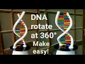 Download Lagu How to Make DNA Model Using Clay || Rotating DNA Model