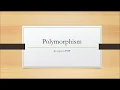Polymorphism in PHP OOPS Concept in PHP in Hindi Polymorphism Part-6