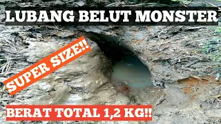 mancing 3 belut monster di spot belut besar