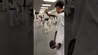 Taekwondo Basic Kicks Taekwondo  Taekwondo Basic Kicks Taekwondo