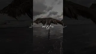 سابوا قلبي على البلاطه خالد الصيفي حمزه نمره سر إلهي رومانسي حزين حالات واتس 