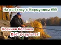 Download Lagu Осенняя болонка даёт результат! На рыбалку с Нормундом #99