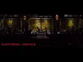 Nocturnal Animals OST - Table For Two [Extended]