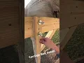 Installing a carriage bolts for a deck