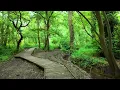 Ascension | Melodic & Progressive House Mix [Khen, Volen Sentir, Adriatique, Lane 8, Marsh]