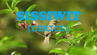 SISSIWIT Sissiwit ku - MY BIRD IGOROT SONG KALINGA SONG