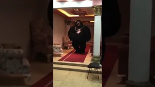 الرجل الأخضر والغوريلا رايحين مشوار اكسبلور ترند Explore اضحكك الغوريلا Music Rap 