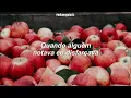 Ludmilla - Paraíso (Letra)