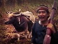 Download Lagu Tarling SUMPAH SUCI - Voc H Abdul Adjib (Tarling Nostalgia Dermayon Cirebonan)