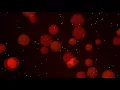 I created a cozy Lava Lamp using HTML CSS and JS