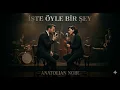 İŞTE ÖYLE BİR ŞEY - EROL EVGİN | Anatolian Noir Cover