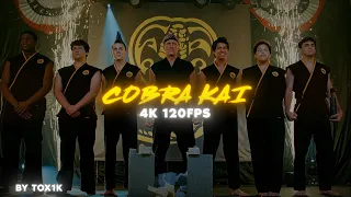 Cobra Kai 4K 120 FPS - Cobra Kai Edit