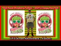 42nd Annual Strawberry Festival in Owego LIVE Advertisement - June 13-15 2024