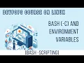 BASH - C AND ENVIRONMENT VARIABLES BASH SCRIPTING DEVOPS COURSE ON LINUX