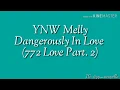YNW Melly - Dangerously In Love 772 Love Pt 2