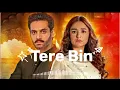 Download Lagu Tere Bin || Shani Arshad ||  ❤