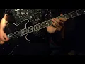 Monaco - What Do You Want From Me? [bass cover]