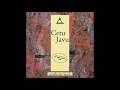 Cetu Javu - A Donde (Extended Mix)