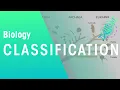 How Are Organisms Classified Evolution Biology FuseSchool