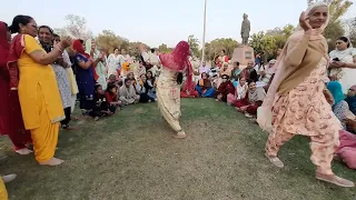 गाजर गजरे से प्यारी #dance #haryanvisong #song