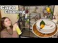 How to Clean Your Bird s Cage