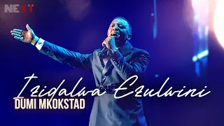 izidalwa ezulwini spirit of praise 11 ft dumi mkokstad