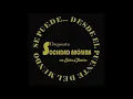 Solo Pienso en Ti - Orquesta Sociedad Anonima By Chamusalsa 2022