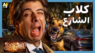 الدحيح | لماذا ما زالت كلاب الشوارع موجودة؟