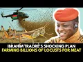 Download Lagu Ibrahim Traoré’s Shocking Plan: Farming Billions of Locusts for Meat @kekblood