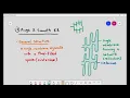 1-5 Nucleus Endoplasmic Reticulum Smooth and Rough ER Golgi Body Cambridge A Level Biology