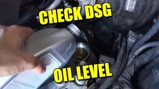 Download How to Check DSG Oil Level of Modern Automatic Transmission Top Up ATF Fluid Audi TT S Tronic MP3