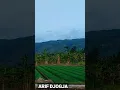 Download Lagu #dikampung #mancingliar #alami #sunset #bahagia #hidup pemandangan sejuk
