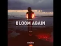 Bloom Again - Nu Aspect