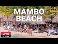 Lagu LionsDive Beach Resort | Mambo Beach | Curaçao 🌴💦 PTZ 4K LIVE CAM