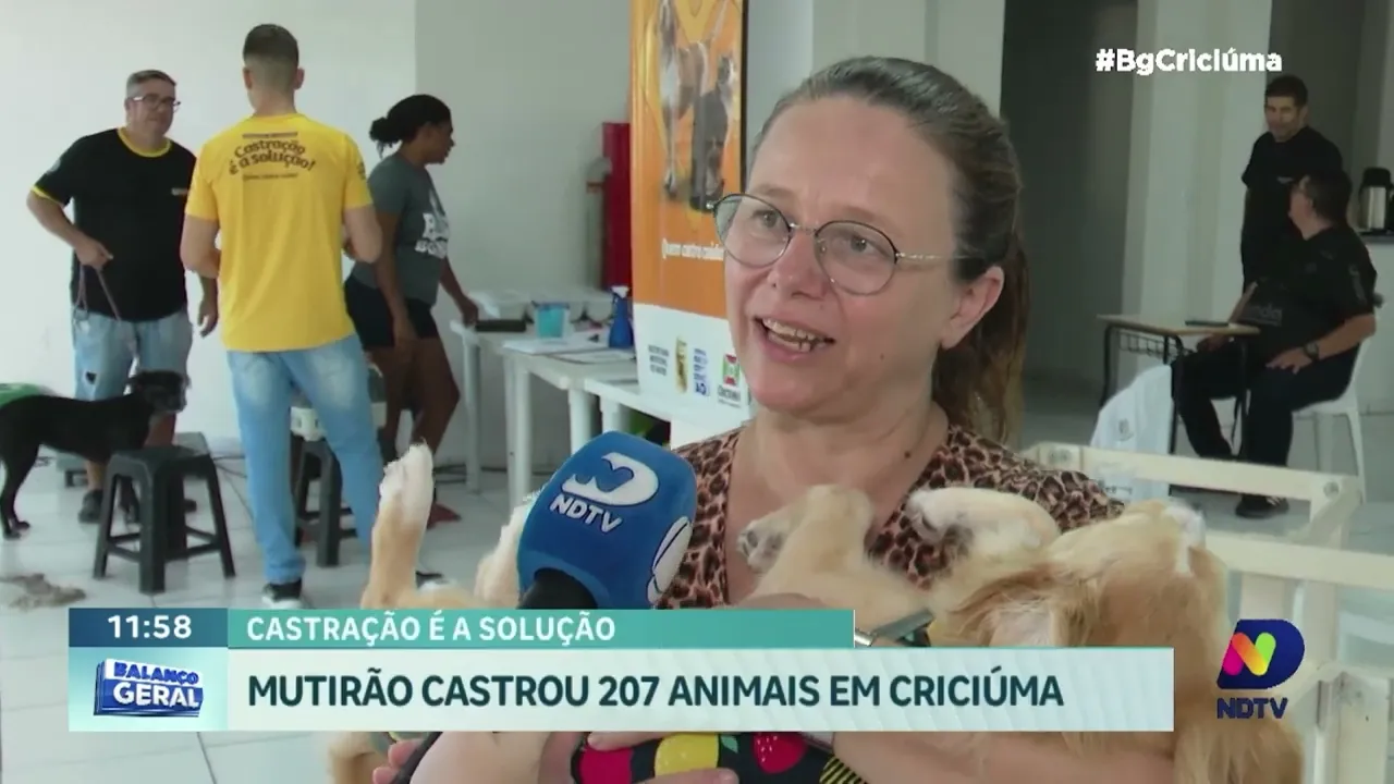 Castração é a Solução: ação beneficia centenas de animais em Criciúma